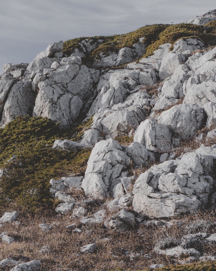 Landscape Of Limestone Rocks