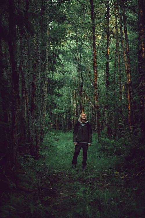 Young Man Standing Alone in Big Dark Forest