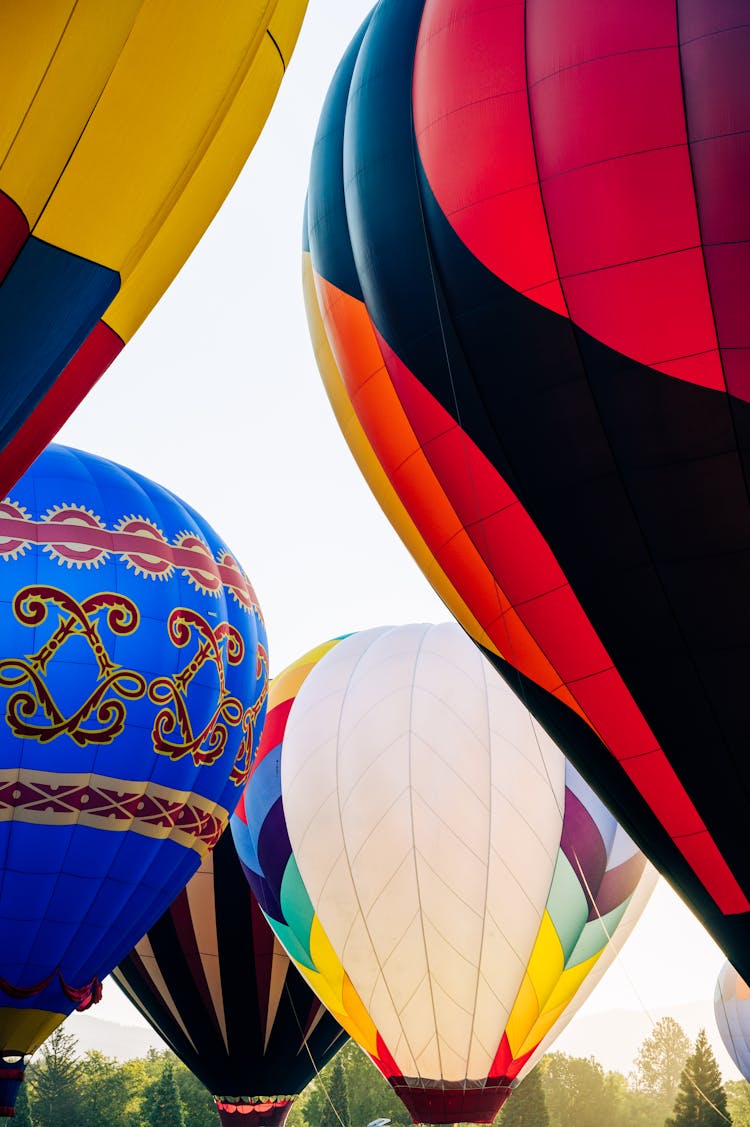 Few Colorful Balloons Ready To Go In The Air