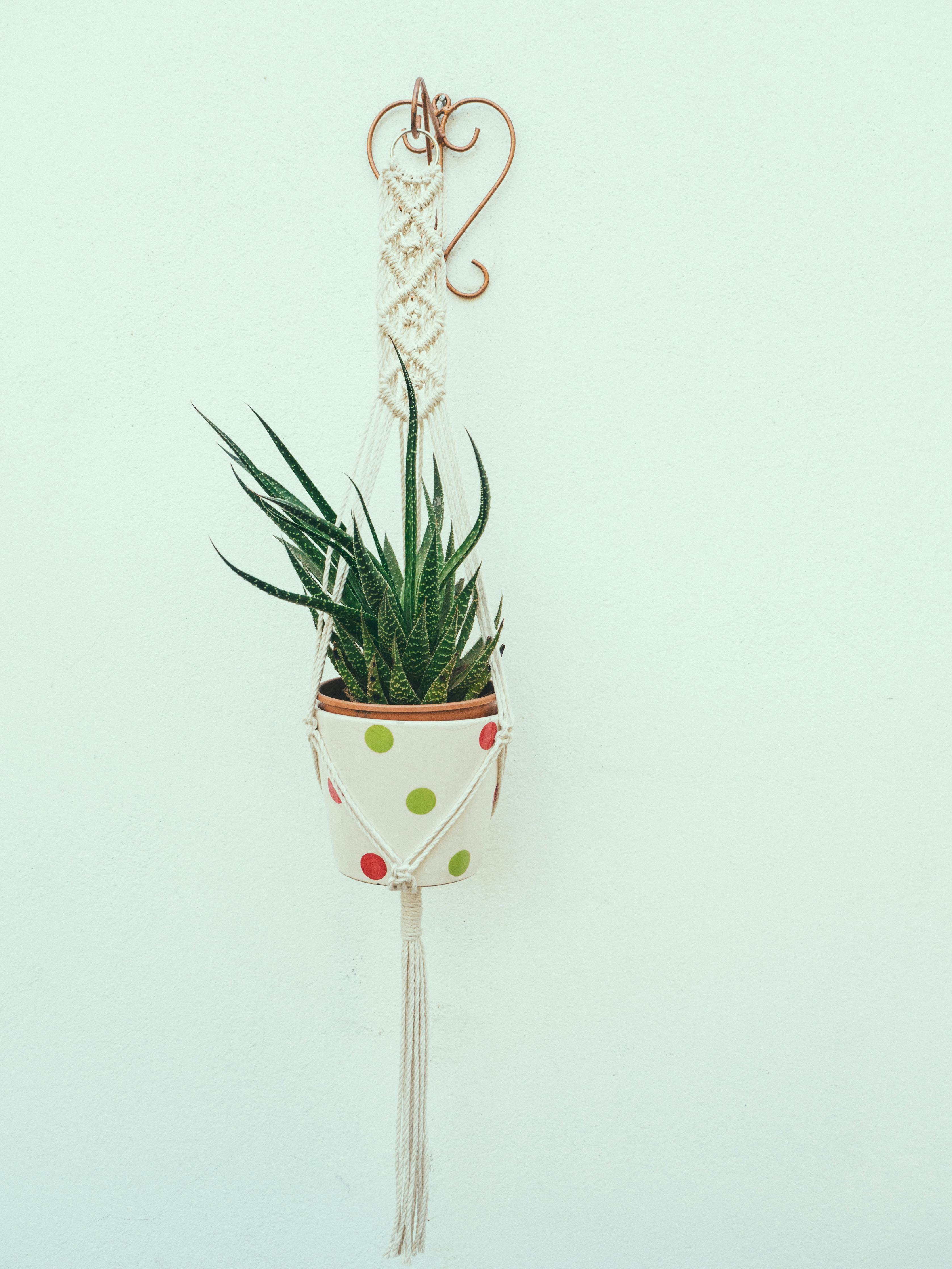 Macrame plant hanger Vergleich 2026