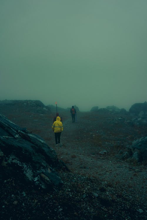 Free Dirt Road covered in Fog  Stock Photo