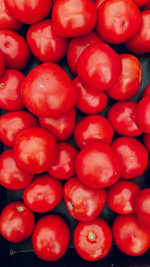 Close-up Shot of a Tomatoes