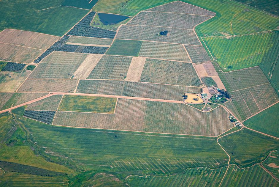 Illustration for Uses of land in Land and Its Uses
