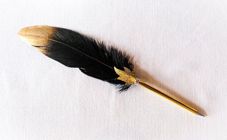 Directly Above View Of Feather Pen