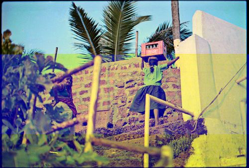 Free A woman carrying a box up rustic outdoor stairs with tropical vegetation. Stock Photo
