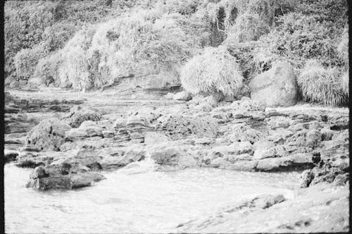 Ücretsiz akarsu, kayalar, siyah beyaz içeren Ücretsiz stok fotoğraf Stok Fotoğraflar