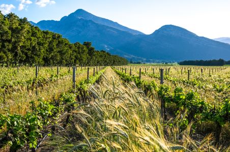 Moderniza tu empresa o crea tu negocio en Campo Arañuelo