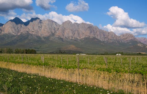 Free Gratis stockfoto met berg, blauwe lucht, boerderij Stock Photo