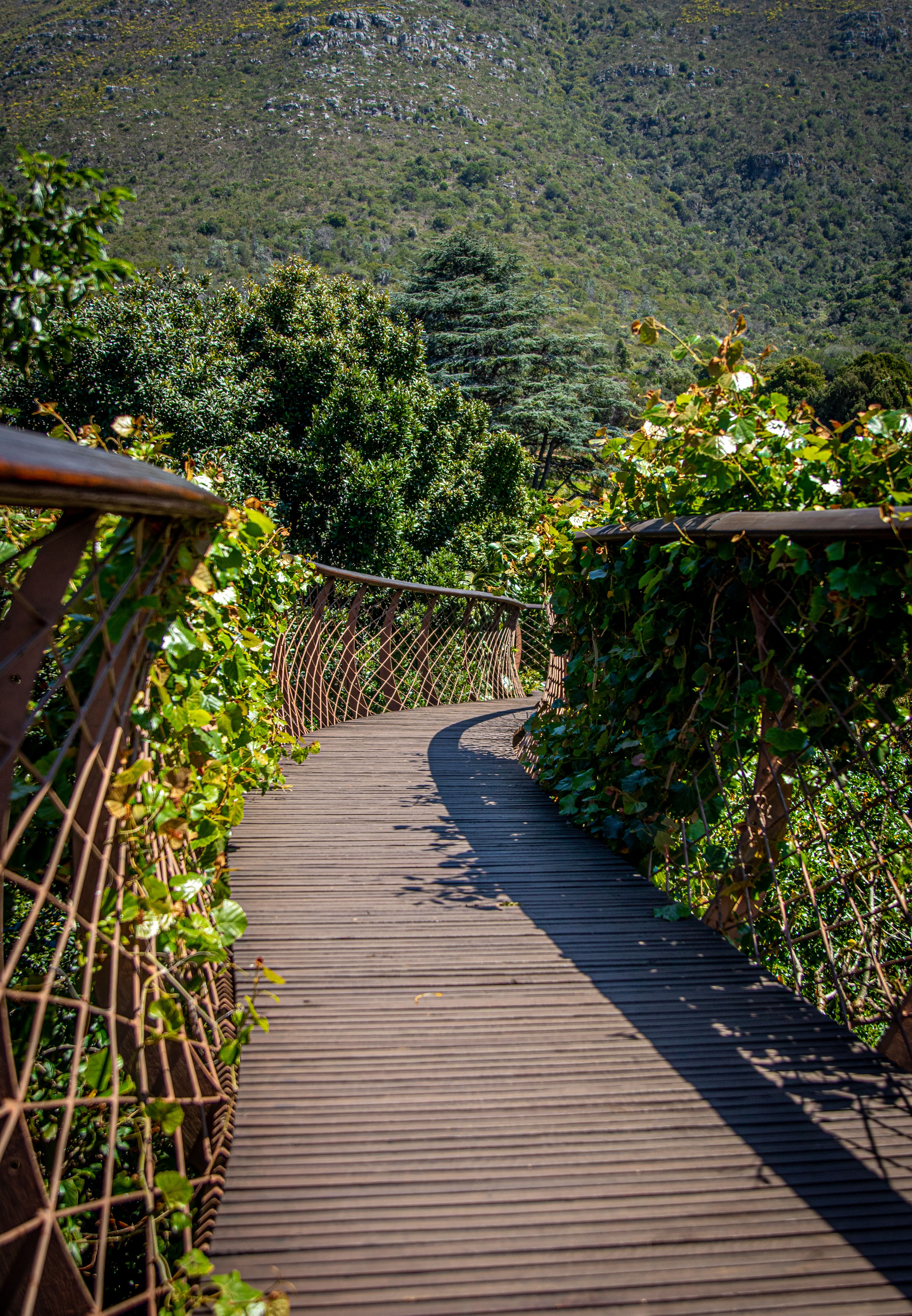 things to do in gatlinburg for couples