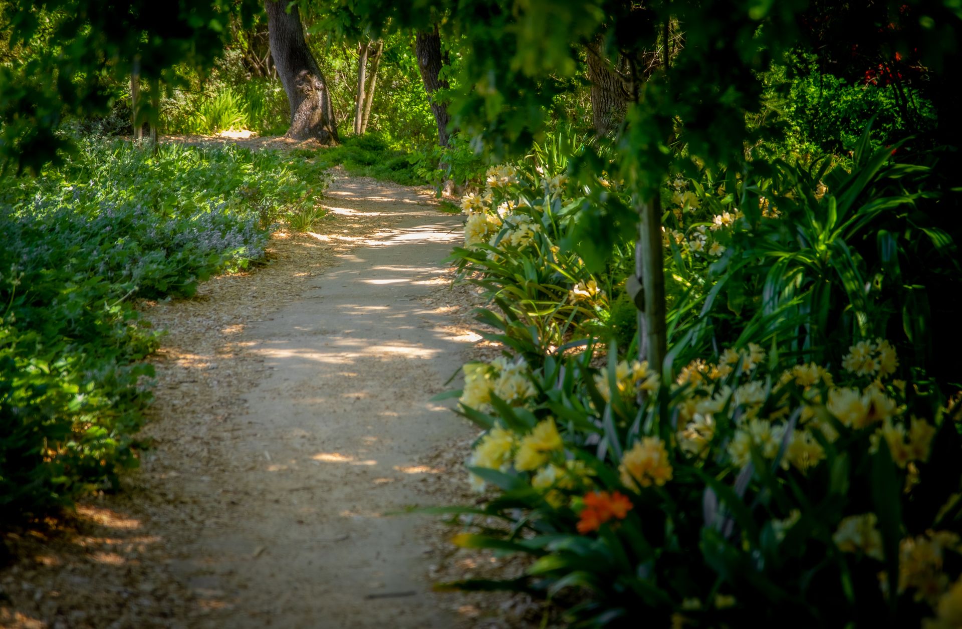 A serene garden path flanked by vibrant green foliage and blooming flowers, perfect for a peaceful stroll.