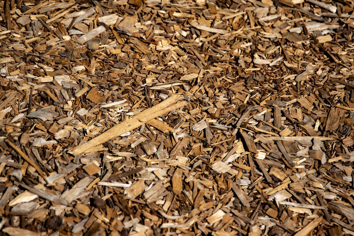 Close-up of brown bark mulch showing its texture