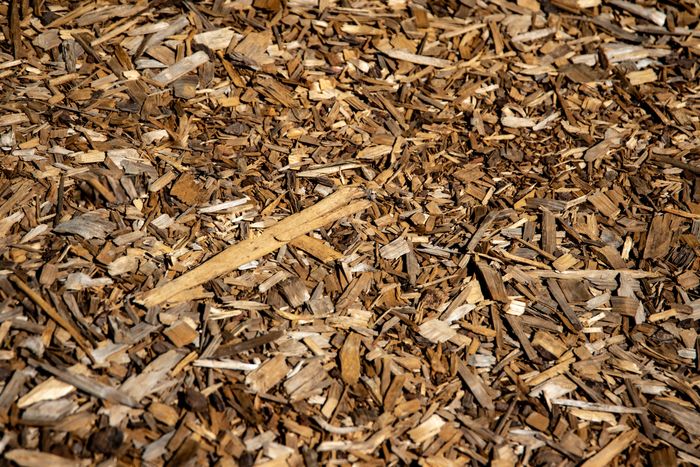 Bark mulch in low sunlight — photo by Magda Ehlers on Pexels