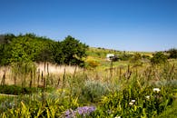 Low-Angle Shot of a Gras Field Near a White House