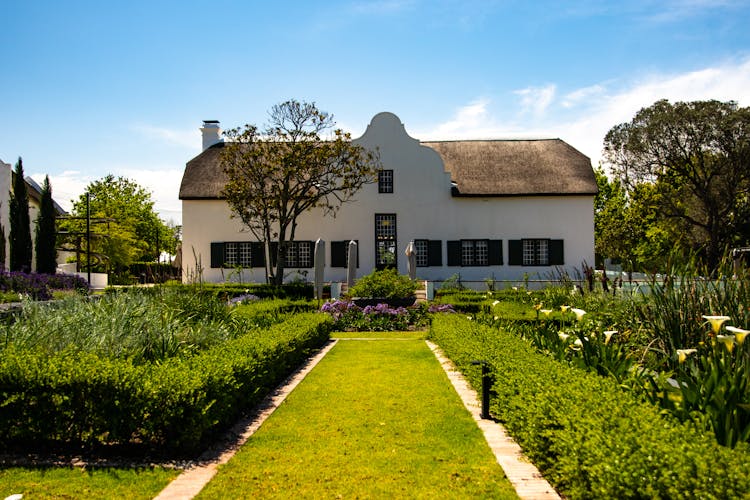 Country House With Plants And Shrubs 