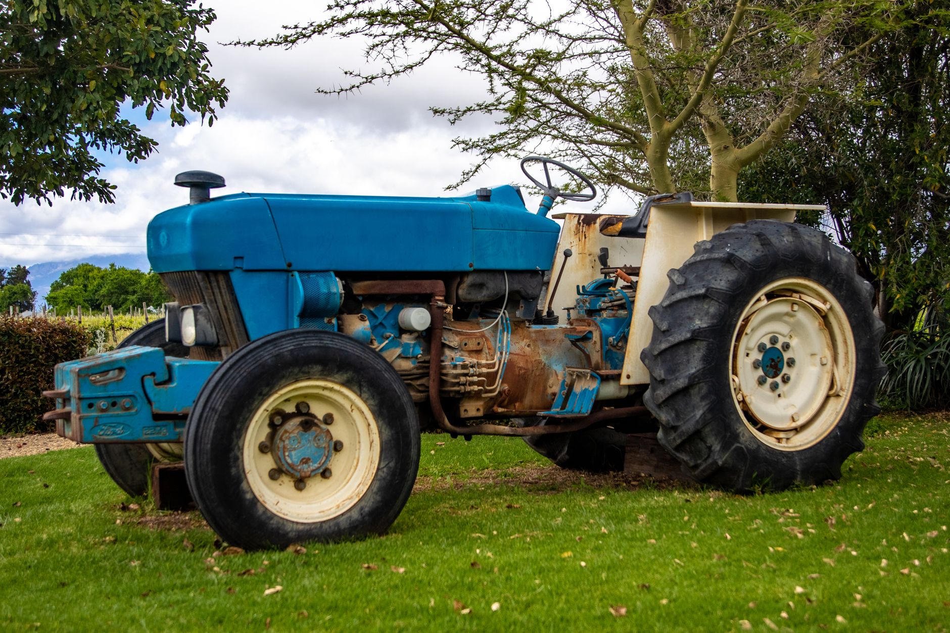 An old blue tractor parked on green grass surrounded by trees and cloudy sky.