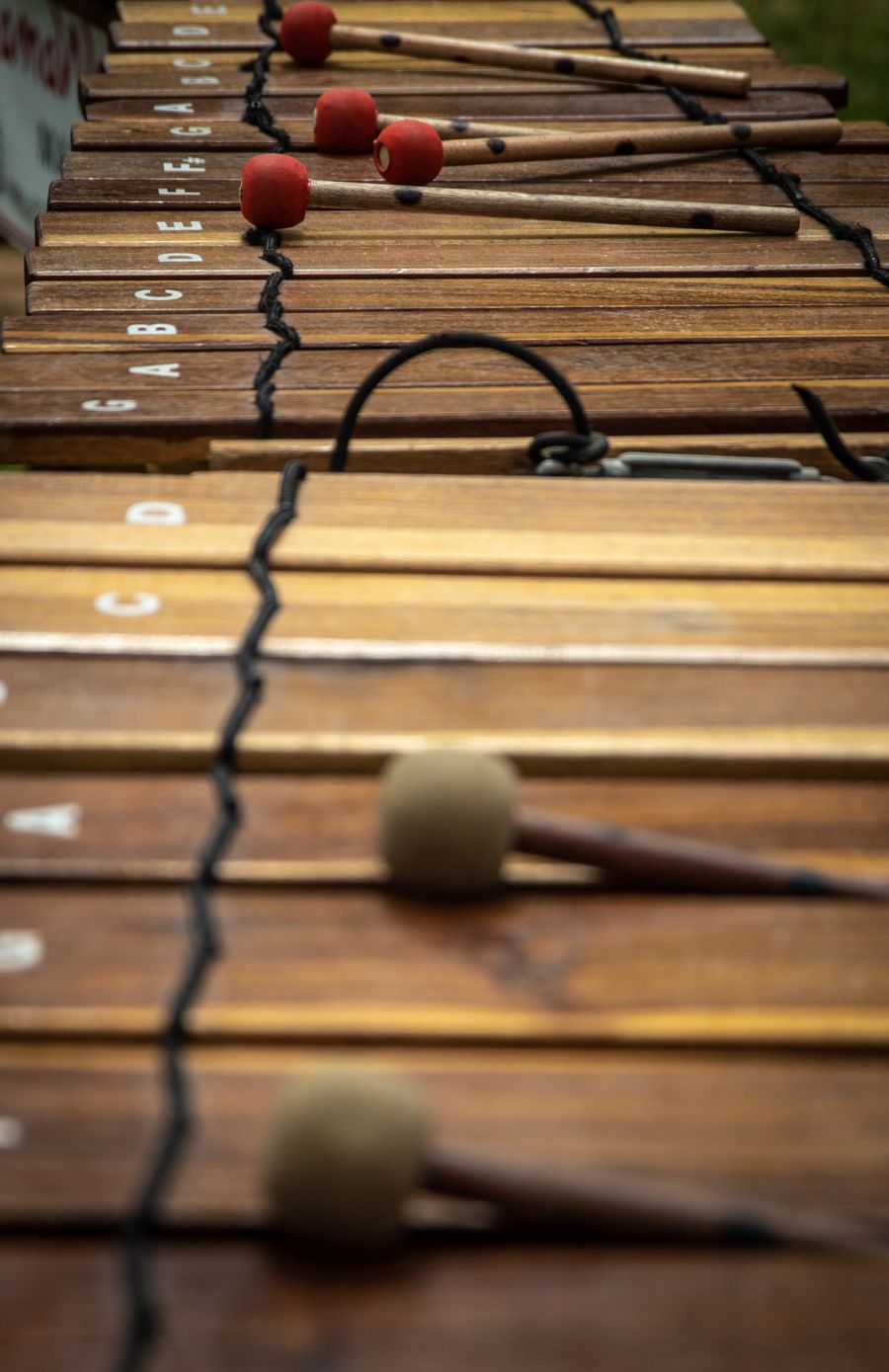 Instrumento de percusión con barras de madera