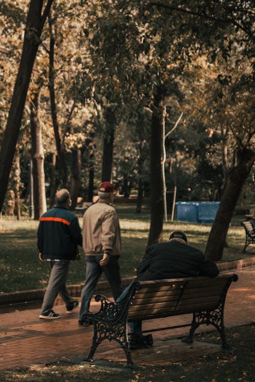 Elderly Men Spending Time in Park