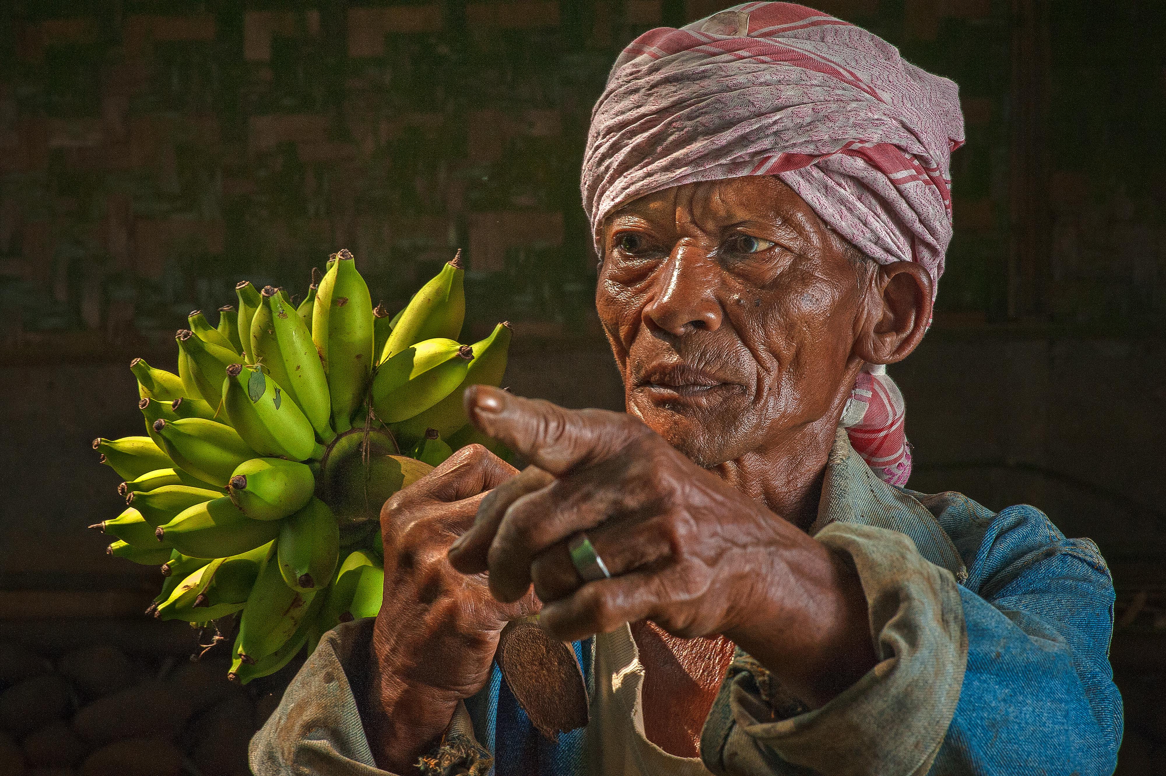 一位年长的农民身着文化装束，以富有表现力的姿态，展示了一幅香蕉特写肖像