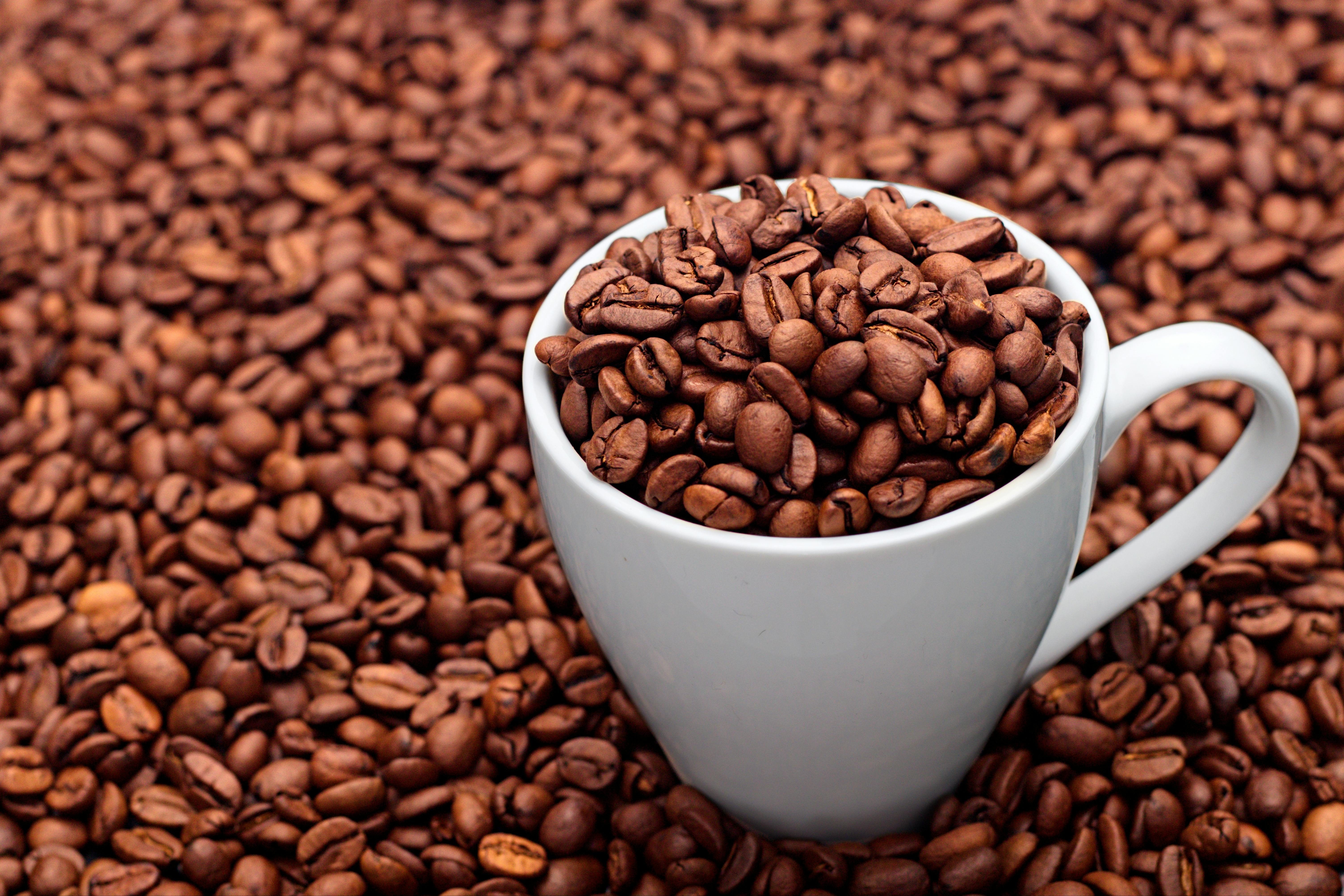 How To Find The Best Whole Coffee Beans For Your At Home Coffee