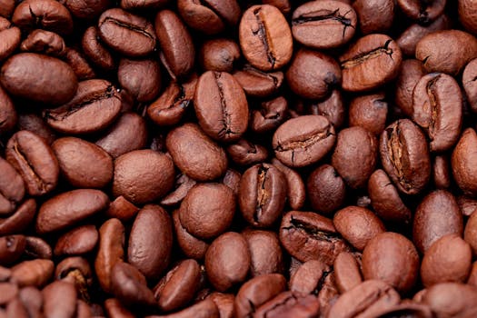 High-quality close-up shot of roasted Arabica coffee beans showcasing rich texture and color.