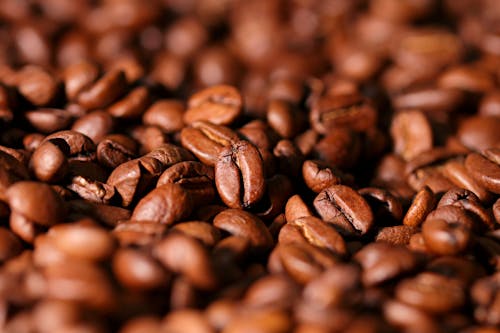Brown Roasted Coffee Beans in Close-Up Photography
