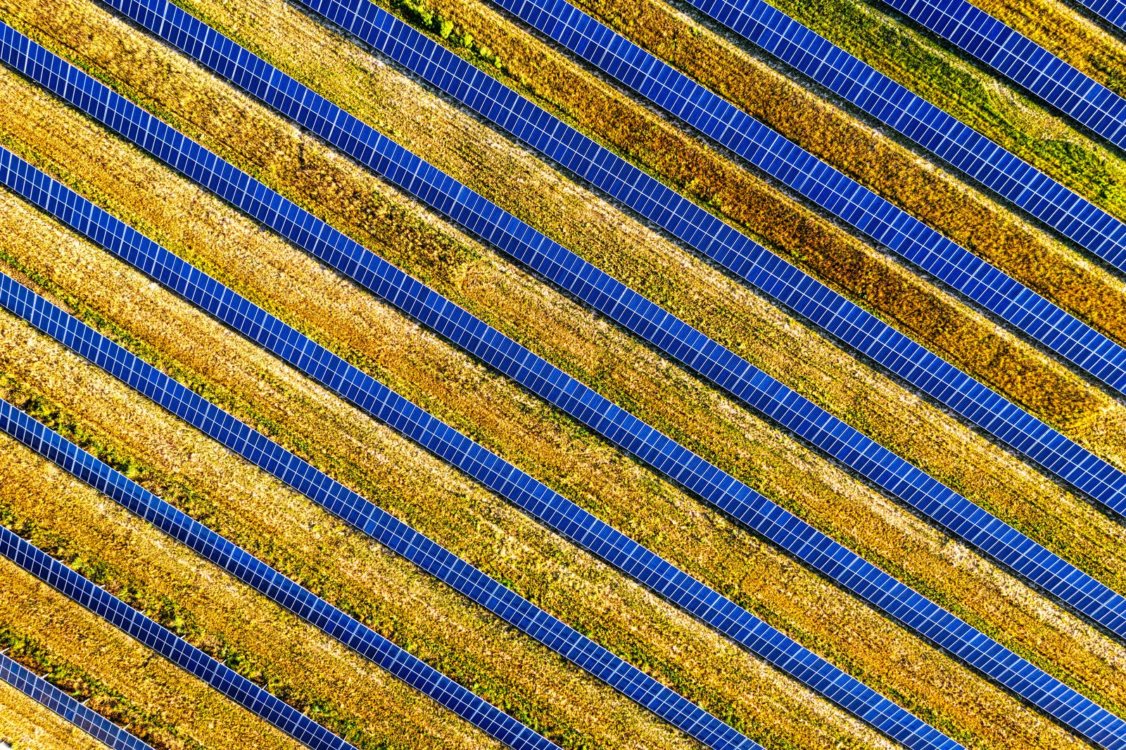 Painéis solares em campo aberto perto de instalações tecnológicas