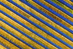 Vibrant aerial shot of solar panels in a field, showcasing renewable energy in Red Wing, MN.