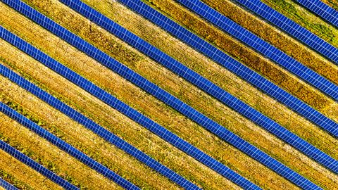 Vibrant aerial shot of solar panels in a field, showcasing renewable energy in Red Wing, MN.