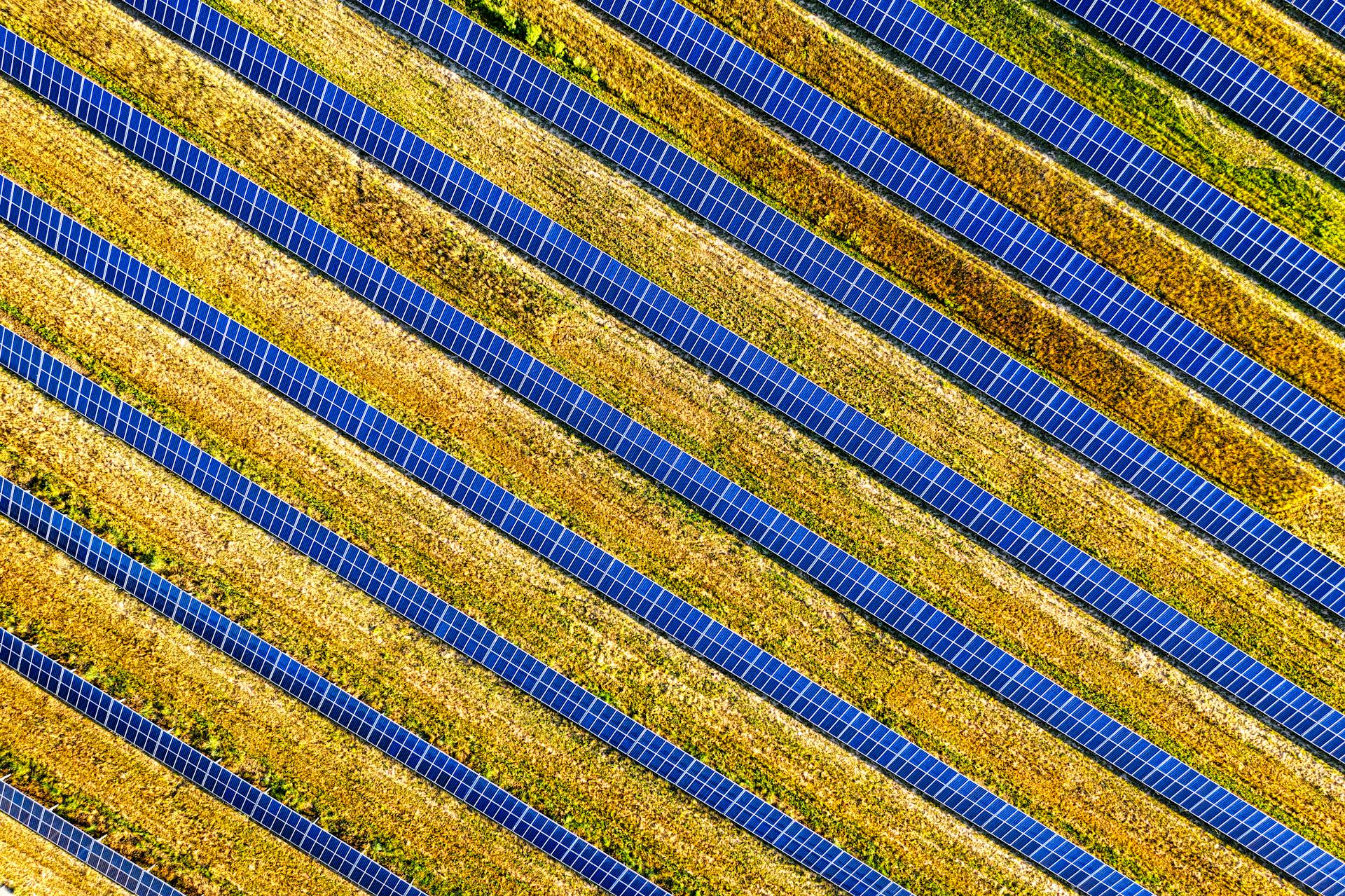 Vibrant aerial shot of solar panels in a field, showcasing renewable energy in Red Wing, MN.