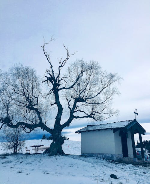 Kostnadsfri bild av byggnad, kall, kapell