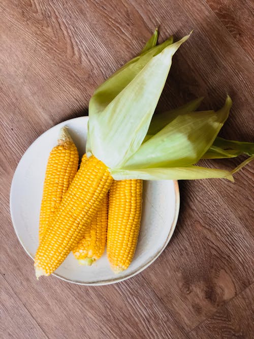 Appetizing Yellow Sweet Corn Cobs displayed on plate 