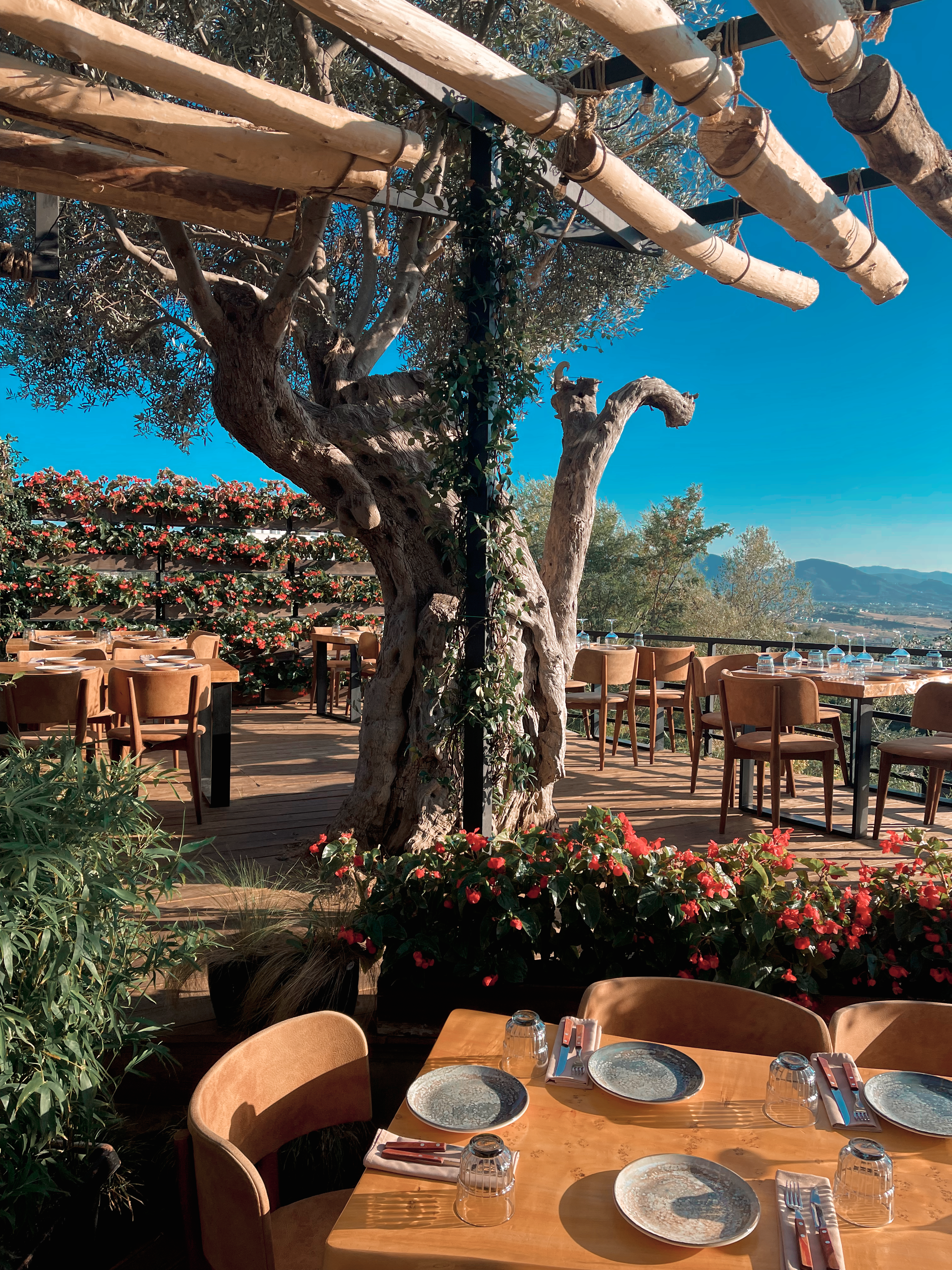 Foto gratuita di affascinante, al fresco, alberi, ambiente, aria aperta ...