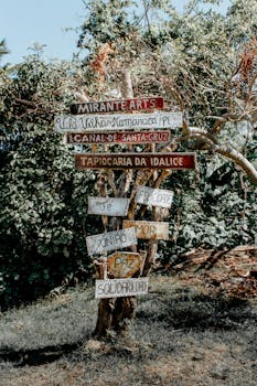 Vibrant wooden signs with inspirational messages mounted on a tree in Brazil.