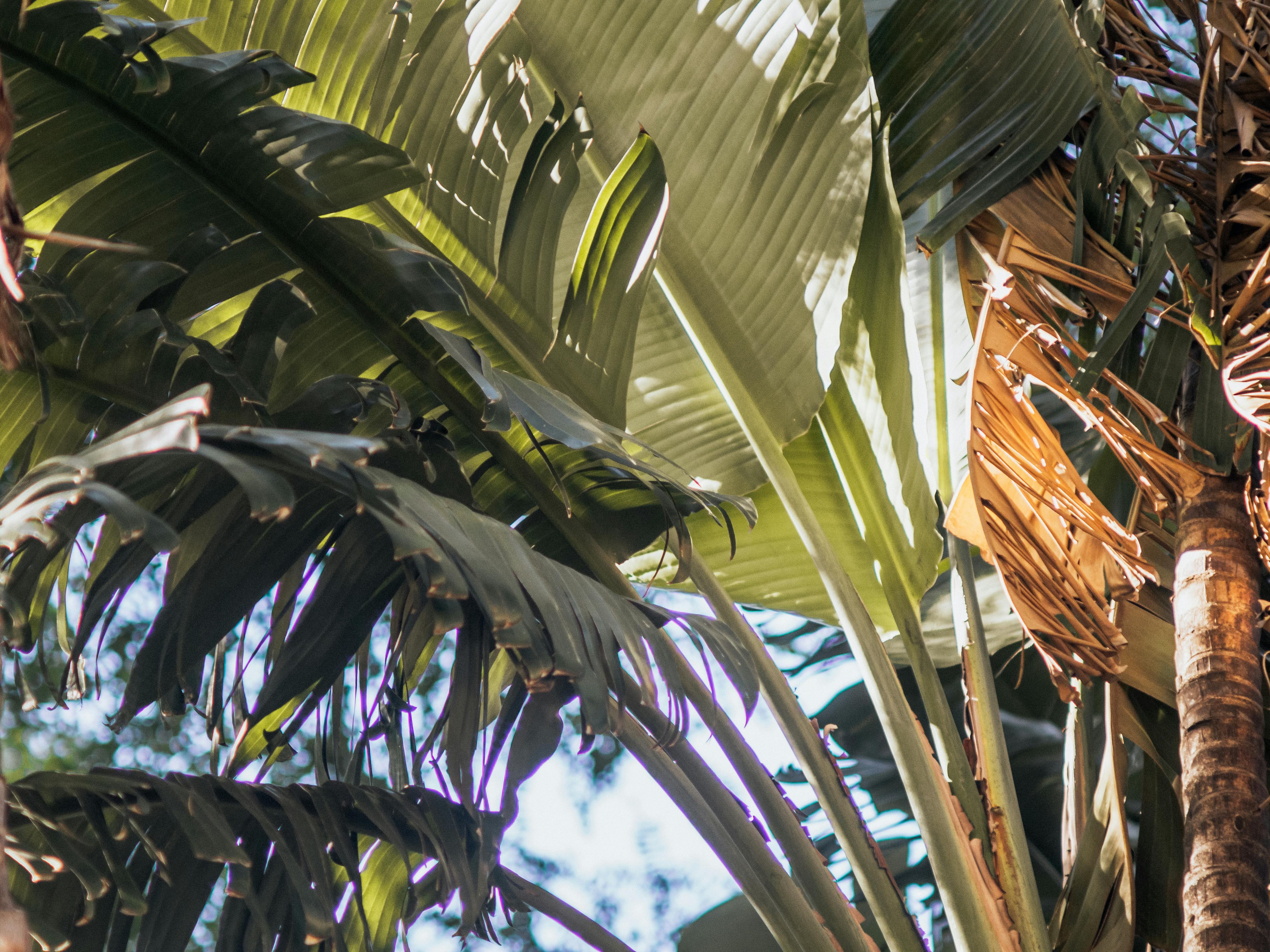 accord cooperation climatique