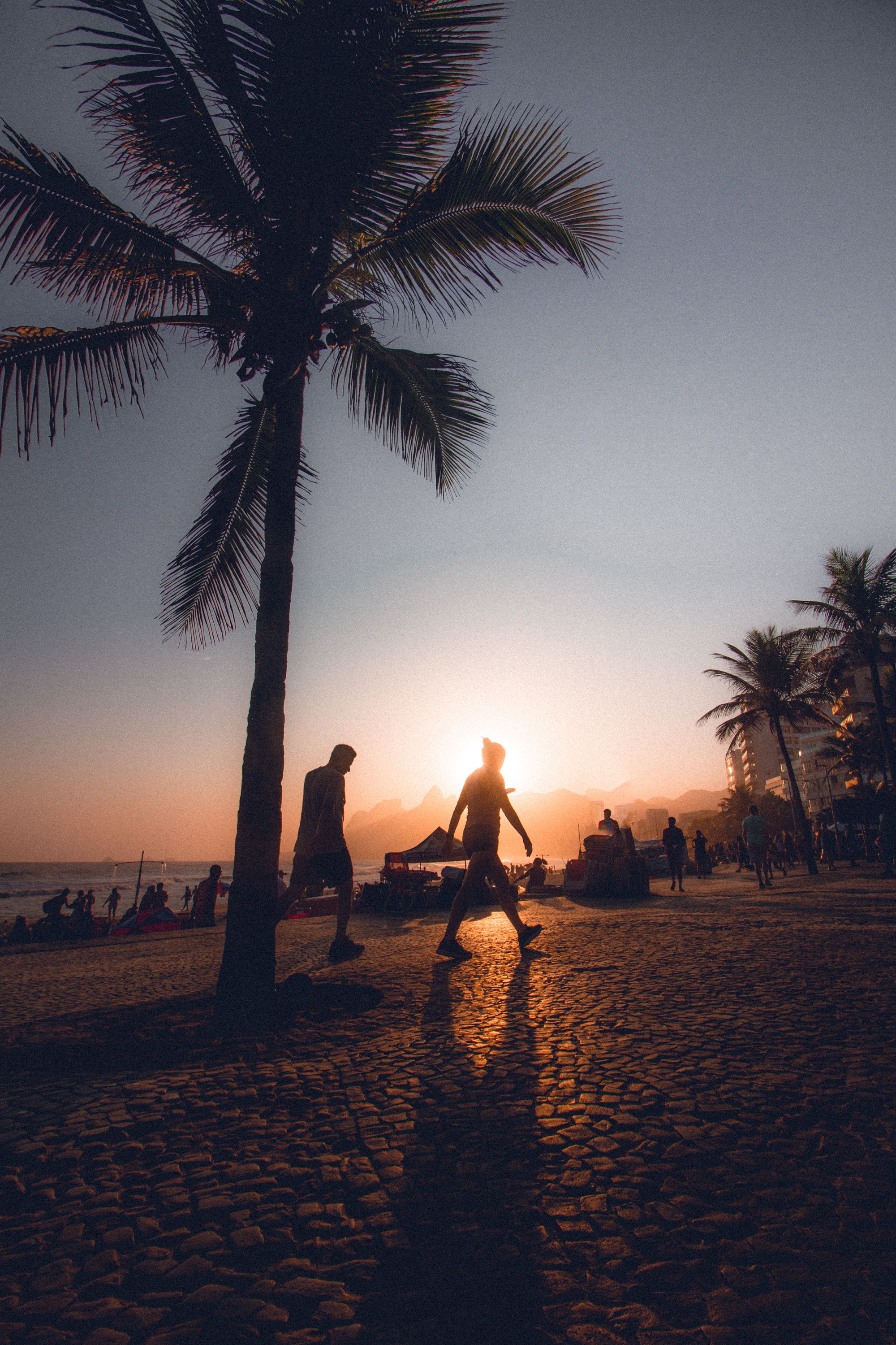 Silhouette of People Walking During Sunset · Free Stock Photo