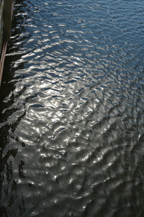 Free stock photo of deep water, lake, water reflection