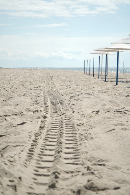 Free stock photo of baltic sea, beach, beach umbrellas
