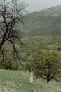 Woman in White Dress Standing on Green Grass Field