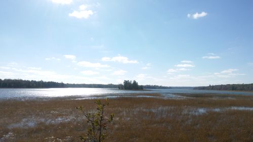 Free stock photo of island, lake, wild rice Stock Photo