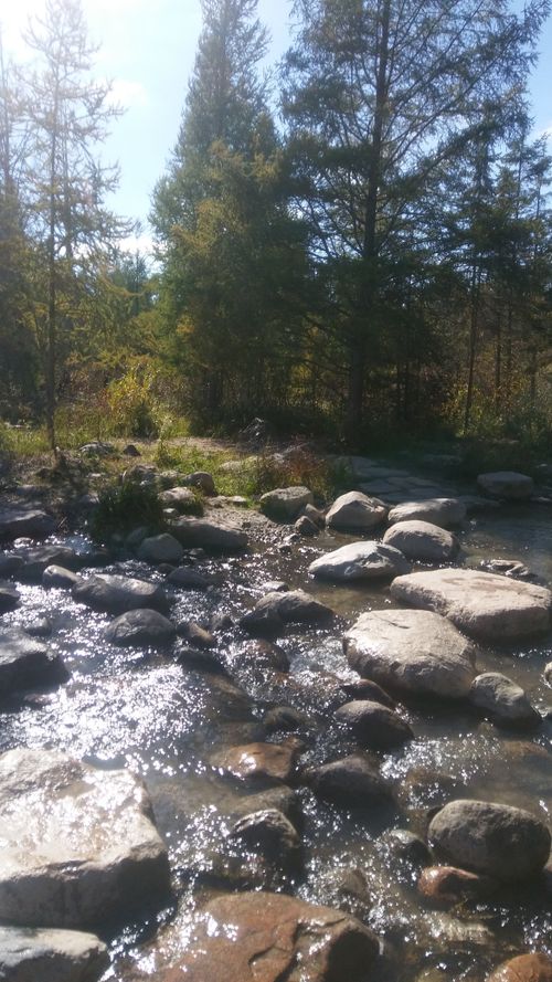 Free stock photo of headwater, path, river Stock Photo