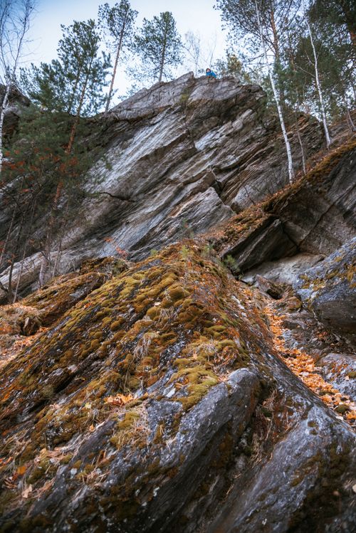 Free Vertical rock face with moss and autumn leaves in a lush alpine forest. Stock Photo