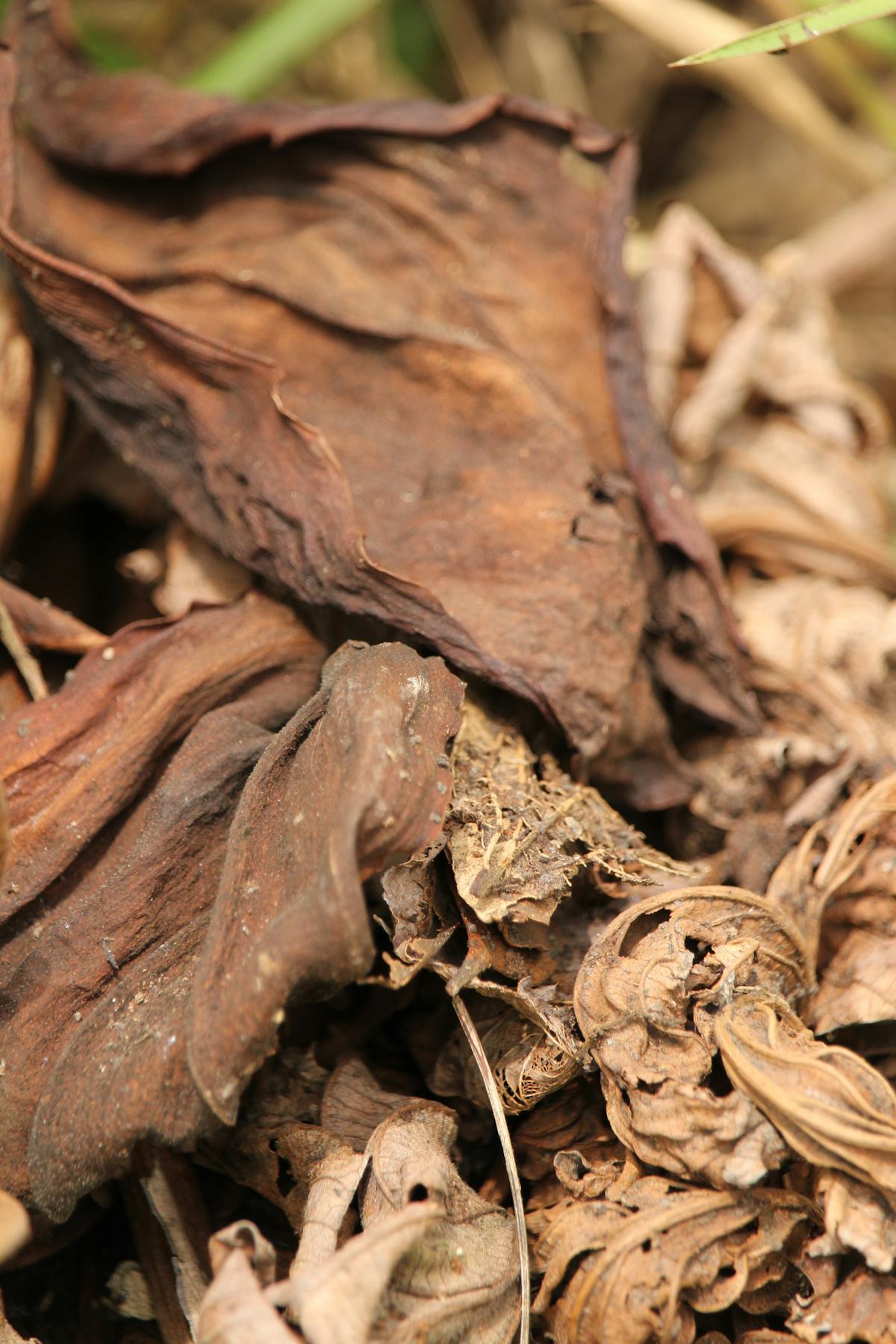 Chunky silver chains and rings styled on a hand and wrist