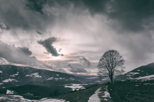 Fotobanka s bezplatnými fotkami na tému hd tapeta, hora, krajina