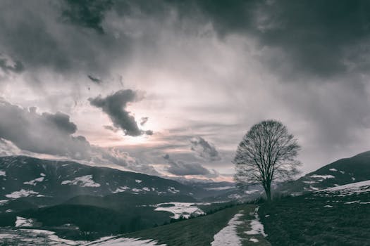 在戏剧性的天空下，一棵孤树矗立于山前，构成一幅宁静的冬日景象