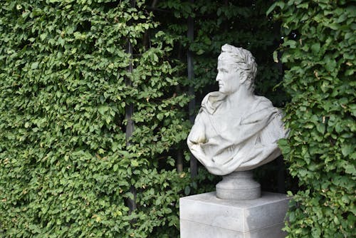 Statue Between Green Vines