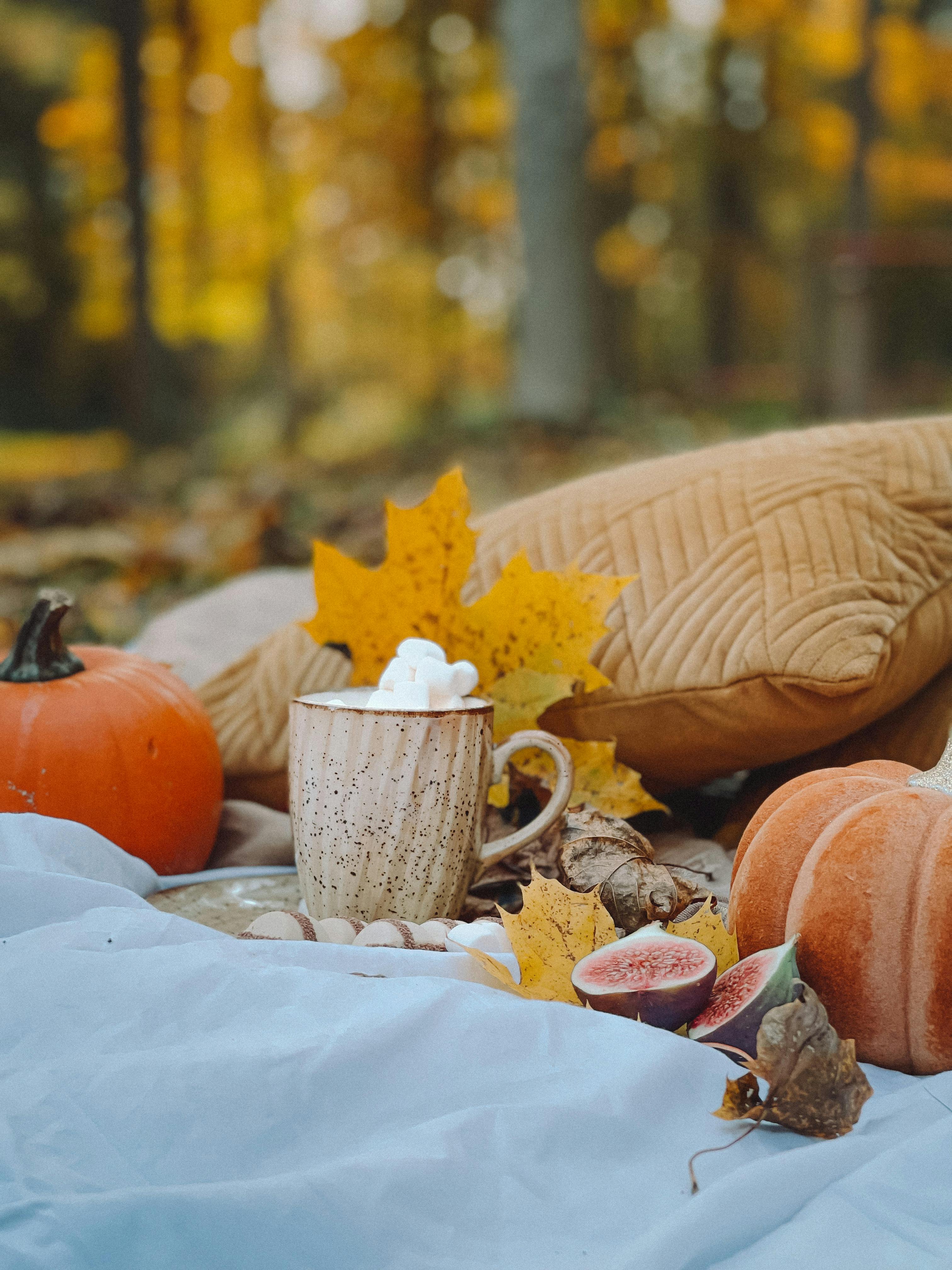 A warm autumn picnic setup in an Estonian forest with pumpkins, a mug of hot chocolate, and fallen leaves.