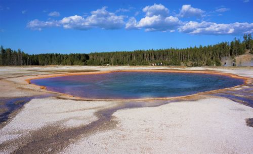 Free A breathtaking view of the Grand Prismatic Spring surrounded by forest under a blue sky in Yellowstone National Park. Stock Photo