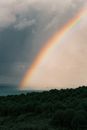 Rainbow Under Forest and Sea