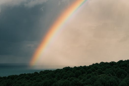 Breathtaking view of a rainbow over a lush forest and ocean, post-rainfall.