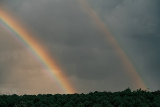A stunning double rainbow arcs across a cloudy sky above a dense forest landscape.